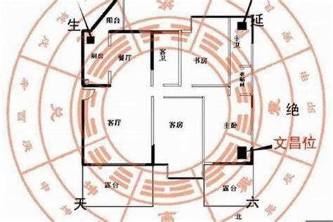 办公室风水财位|财位在哪里图解办公室 办公室风水财务图解